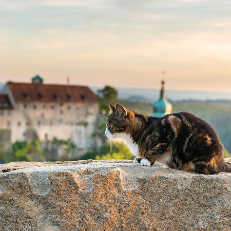 Hotel Zur Aussicht ホーンシュタイン エクステリア 写真
